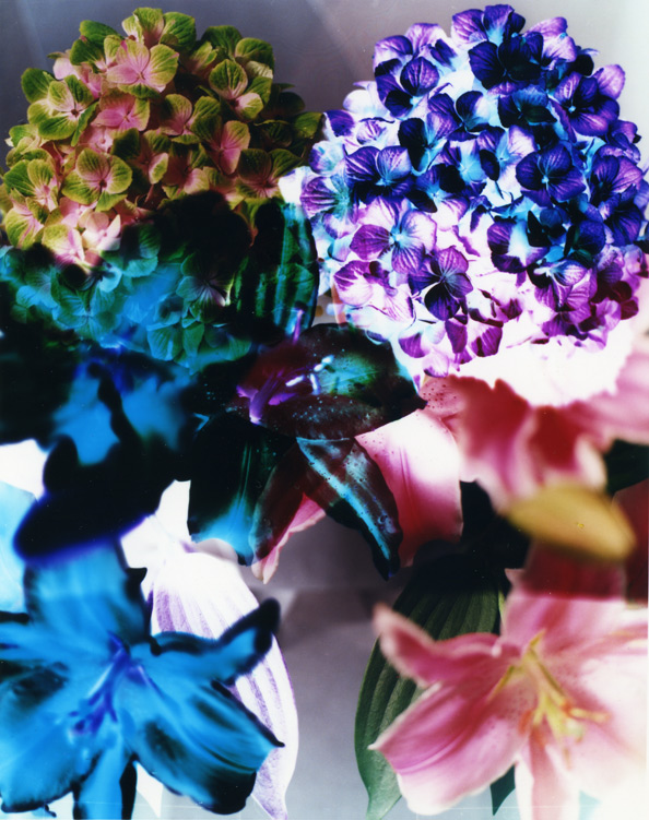 flowers, 2014